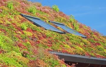 Crowlas living roof systems