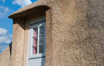 Crowlas thatch roof disadvantages