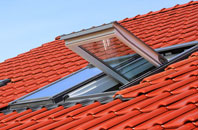 Crowlas roof window
